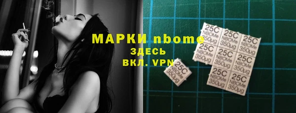 apvp Кукмор