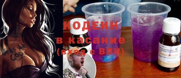 гидра Няндома