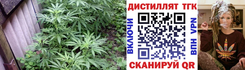 ТГК жижа  Лабытнанги 