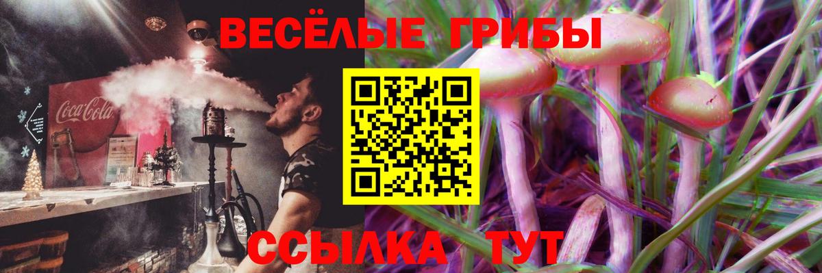 Псилоцибиновые грибы прущие грибы  закладка  Лабытнанги  Вход с VPN 